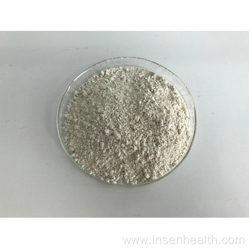 Green Tea Extract L-theanine Powder